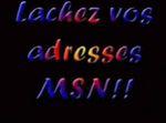 lache ton adresse msn!!!!!!!!!