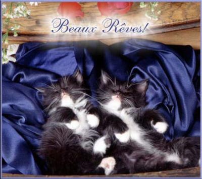 chats